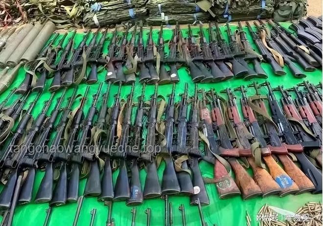 俄官员提供马斯克政治庇护指南